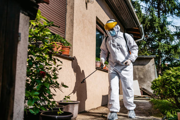 Best Pest Inspection Near Me  in Bedford Heights, OH