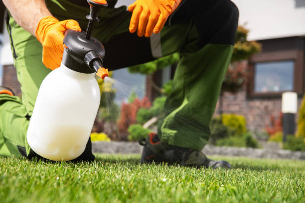 Best Pest Prevention Services  in Bedford Heights, OH