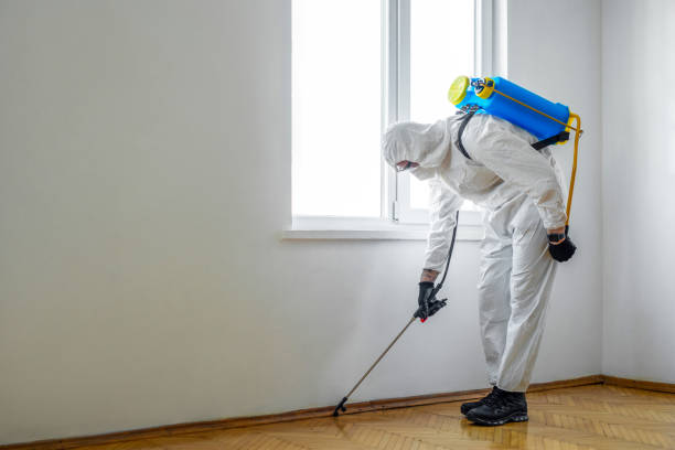 Best Local Pest Control Services  in Bedford Heights, OH