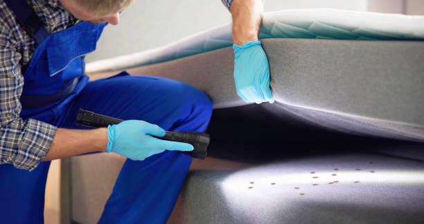 Best Pest Removal Services  in Bedford Heights, OH