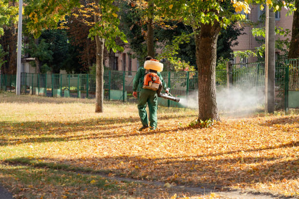 Best Commercial Pest Control Services  in Bedford Heights, OH