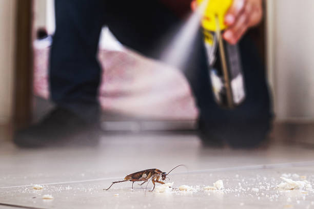 Best Pest Control Treatment  in Bedford Heights, OH