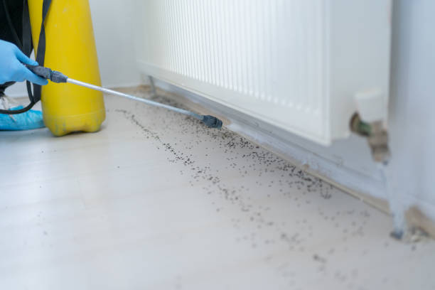 Best Mosquito Control Services  in Bedford Heights, OH
